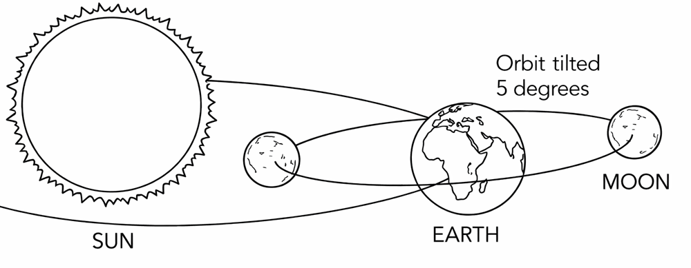 The Earth Moon System