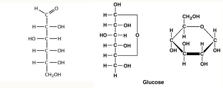 structure of glucose